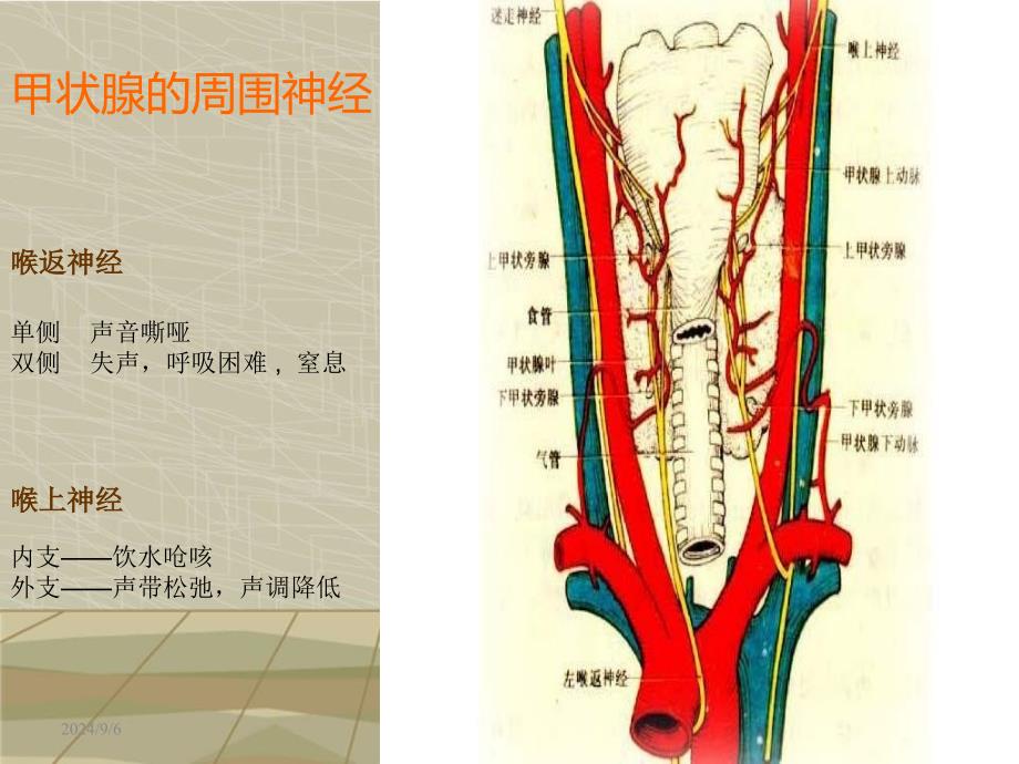 甲状腺肿护理查房_第4页