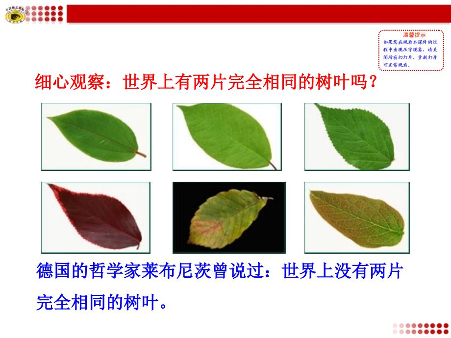 第二框生命因独特而绚丽_第2页