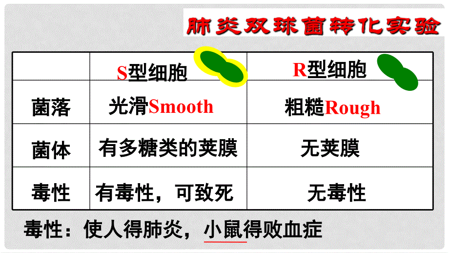 高中生物 第三章 基因的本质 3.1 DNA是主要的遗传物质教学课件 新人教版必修2_第4页