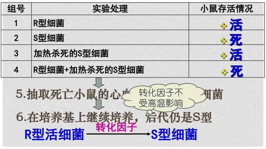 高中生物 第三章 基因的本质 3.1 DNA是主要的遗传物质教学课件 新人教版必修2_第5页