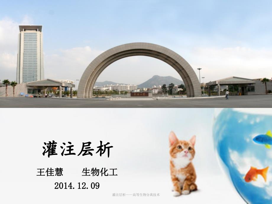 灌注层析高等生物分离技术课件_第1页