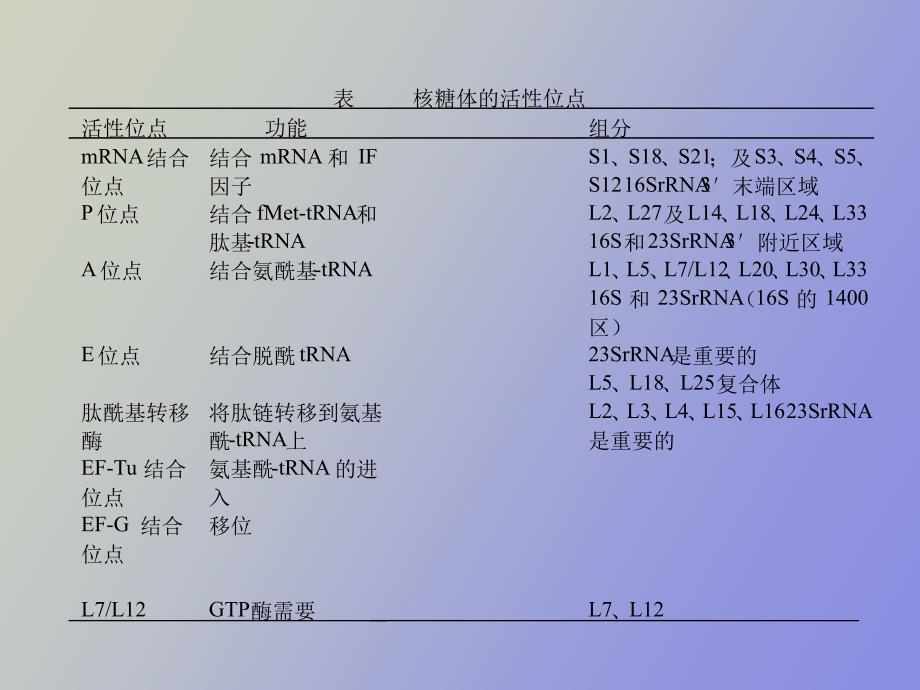 生物信息的传递下_第2页