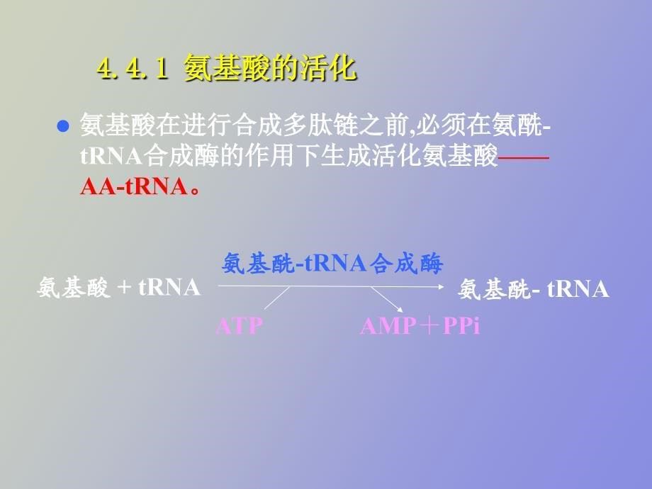 生物信息的传递下_第5页