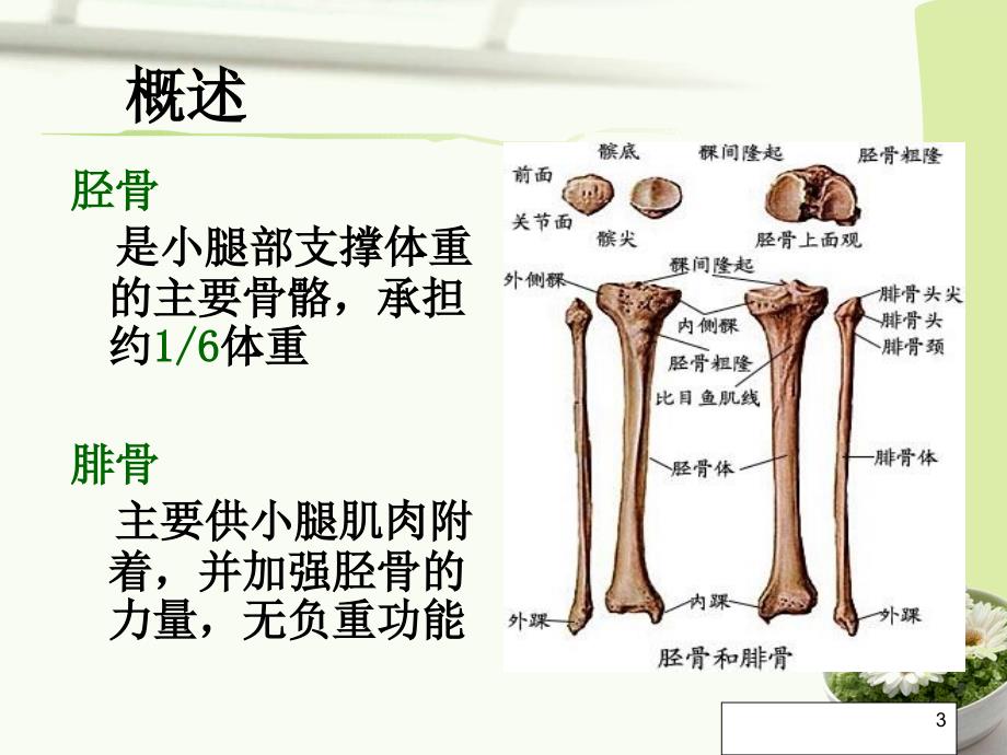 胫腓骨骨折手术配合及访视课件_第3页