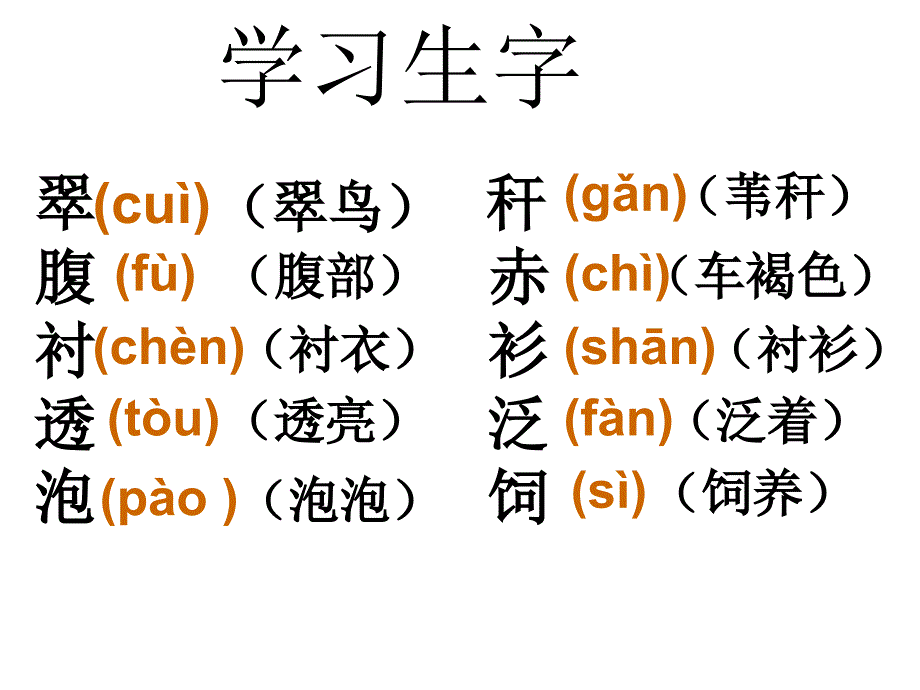 人教版三年级语文下册_5《翠鸟》课件_第3页