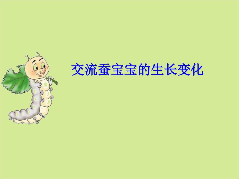 蚕的生长变化(好用).ppt_第2页