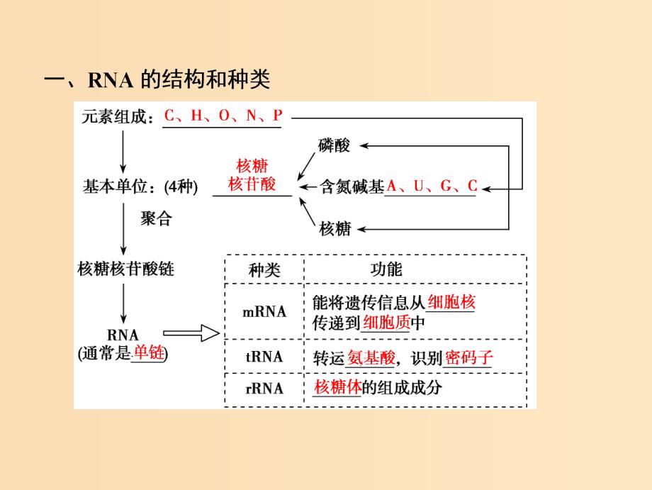 2019版高考生物一轮复习第六单元遗传的分子基础第三讲基因的表达课件苏教版.ppt_第4页