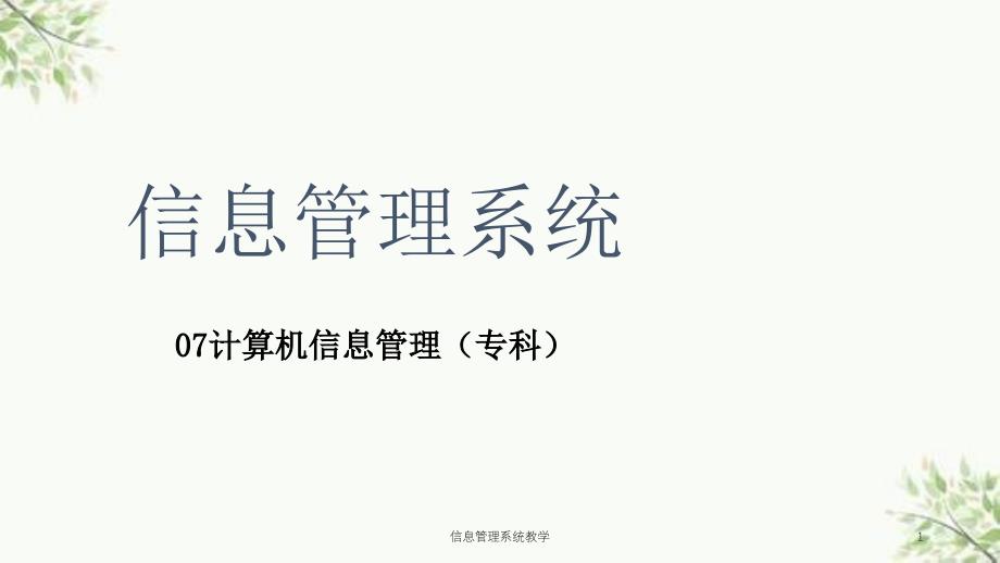 信息管理系统教学课件_第1页