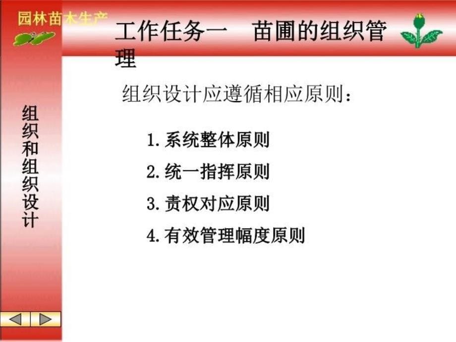 最新园林苗木生产幻灯片_第5页