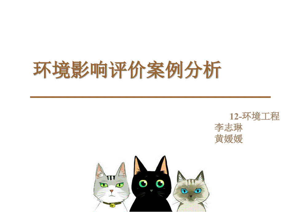 环境影响评价案例分析_第1页