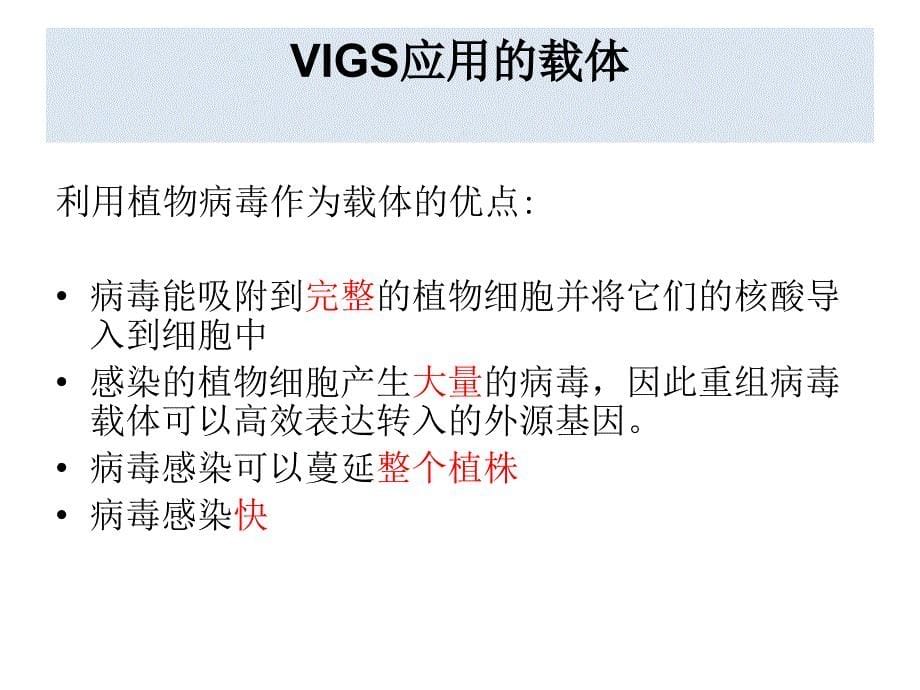 VIG病毒诱导基因沉默技术课件.ppt_第5页