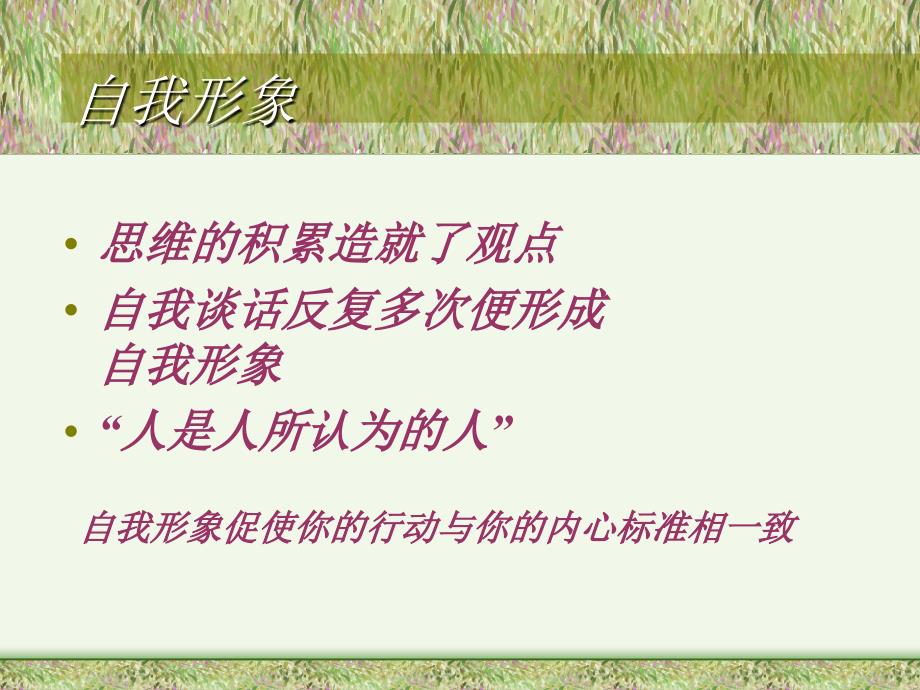 自我形象与此自我谈话.ppt_第4页