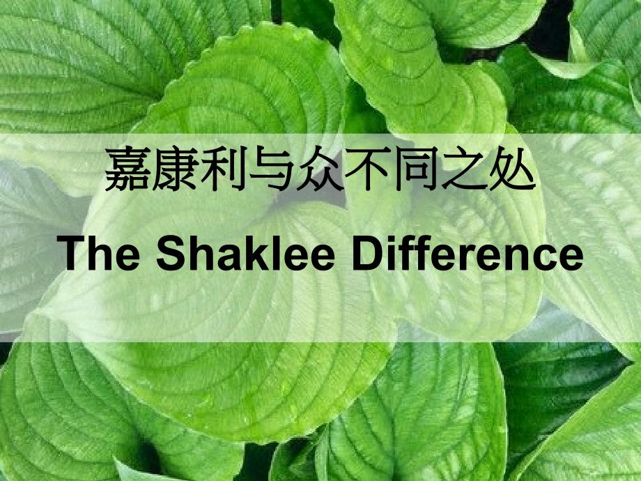 嘉康利与众不同之处TheShakleeDifferenceP_第1页