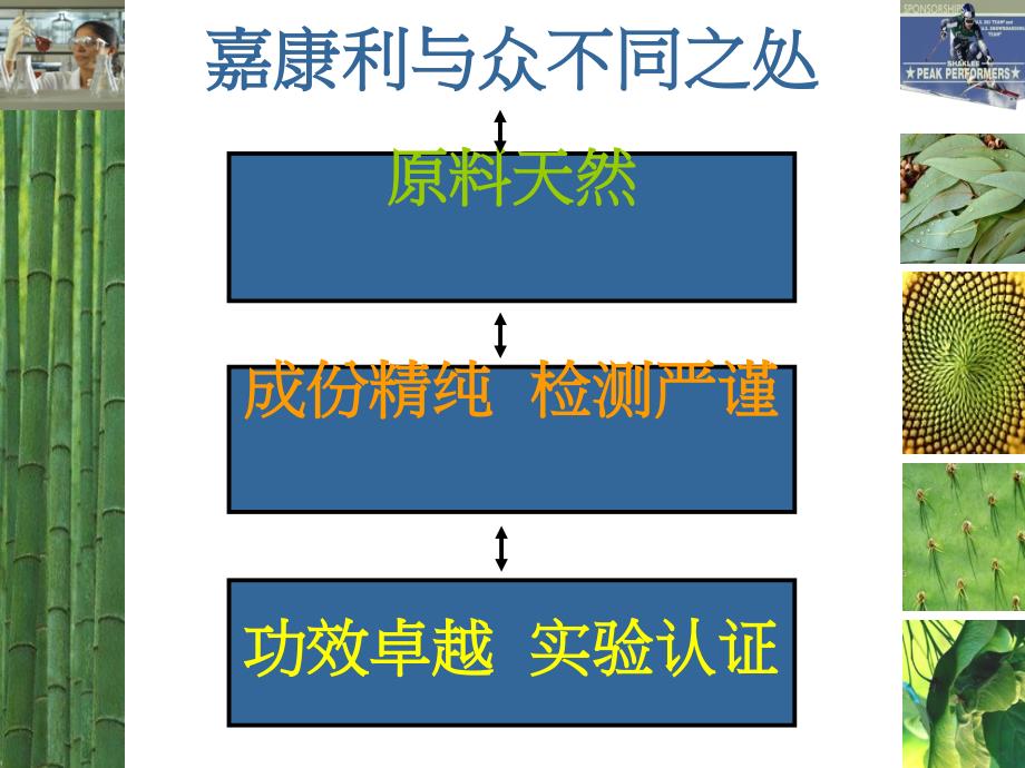 嘉康利与众不同之处TheShakleeDifferenceP_第2页