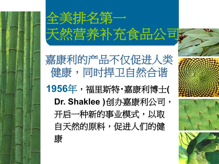 嘉康利与众不同之处TheShakleeDifferenceP_第3页