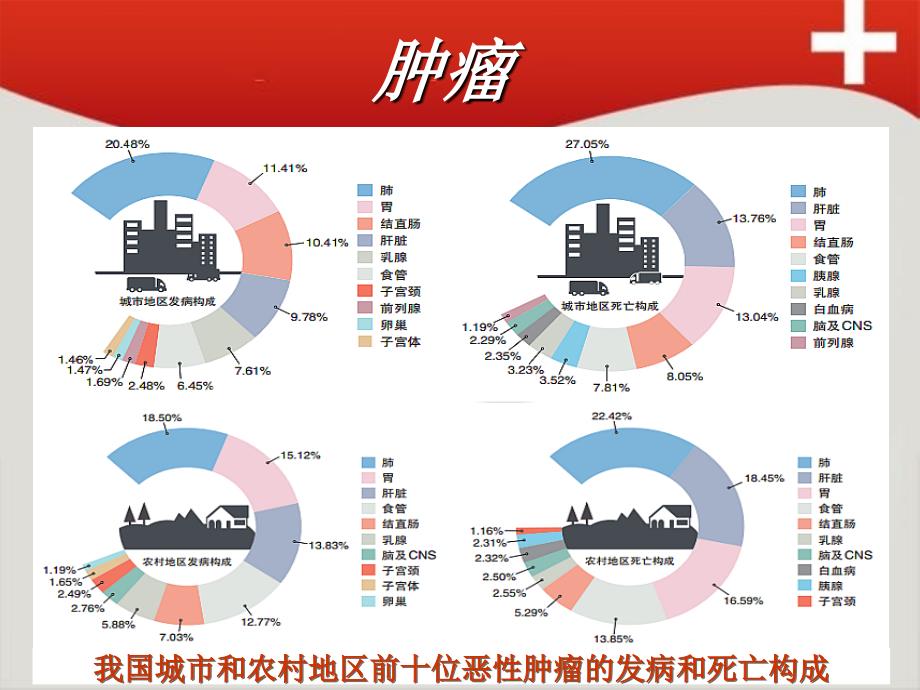 肿瘤与癌症防治知识.ppt_第4页