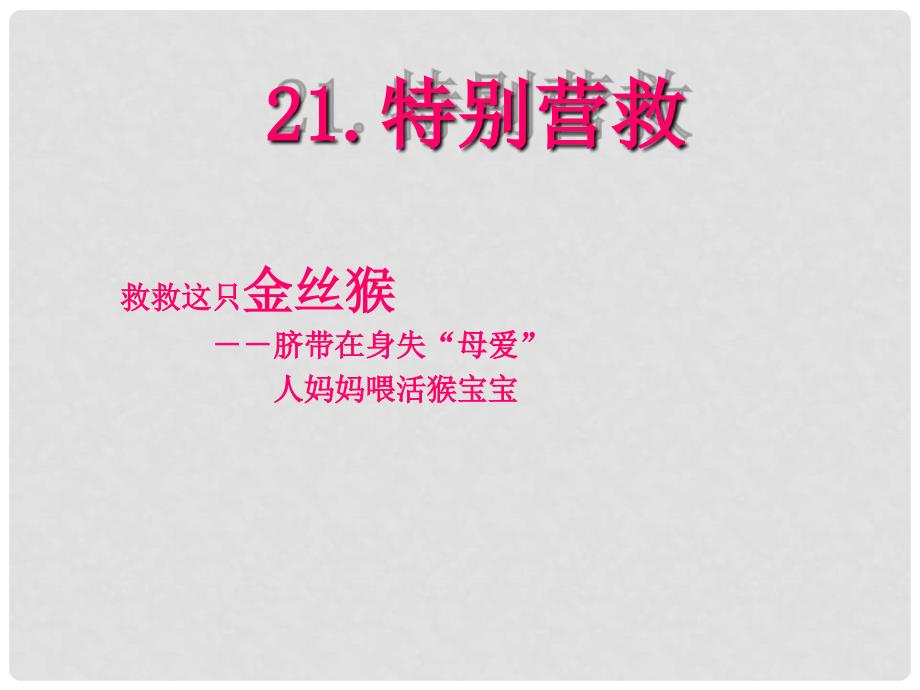 八年级语文上册《特别营救》课件 鄂教版_第1页