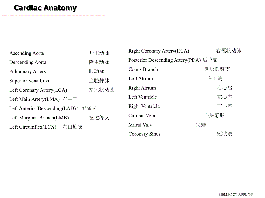 CT心脏断面解剖PPT课件_第2页