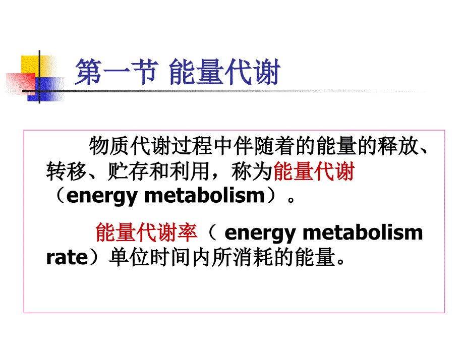 能量代谢课件_第2页