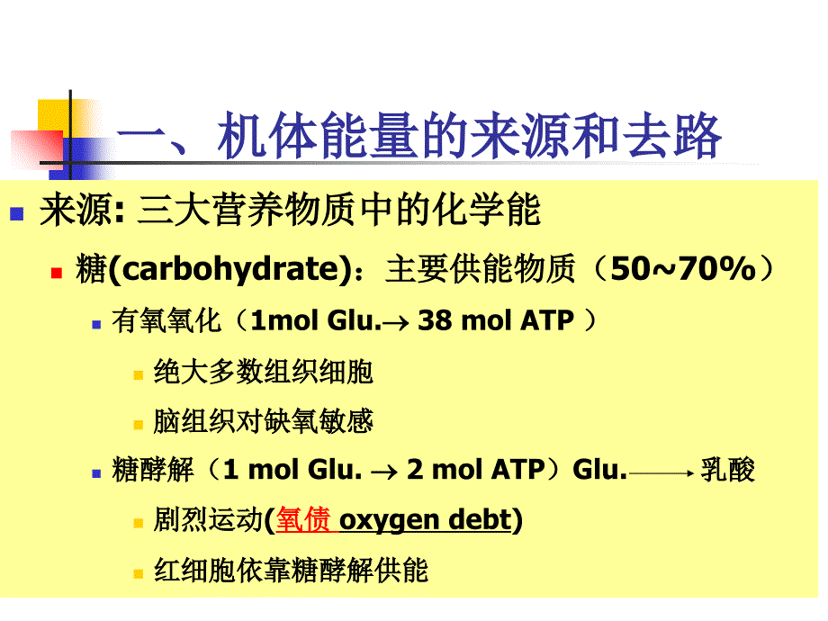 能量代谢课件_第4页