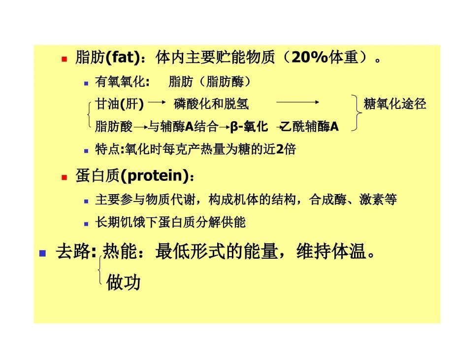 能量代谢课件_第5页