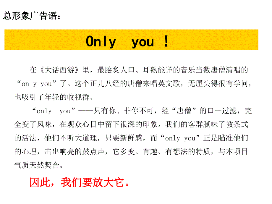 大话南门广告提案.ppt_第4页