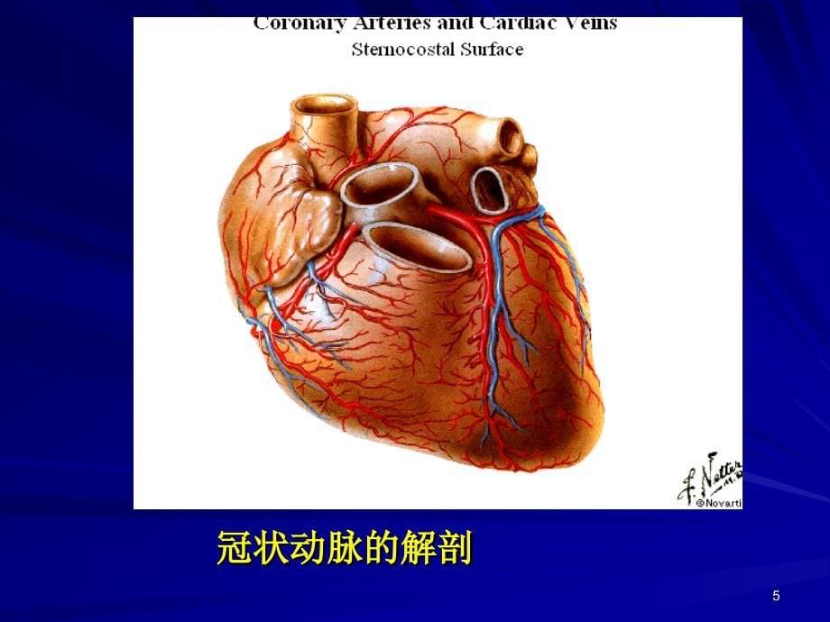 肖伟急性心肌梗死诊断和治疗讲座_第5页