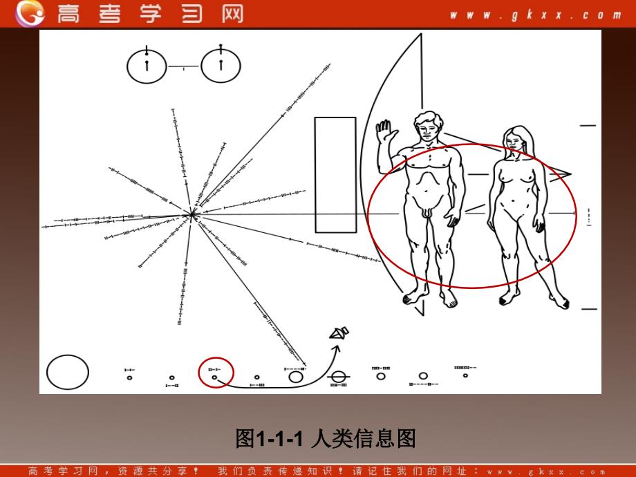 高一地理课件 1.1 地球的宇宙环境 课件1 (鲁教版必修1)_第3页