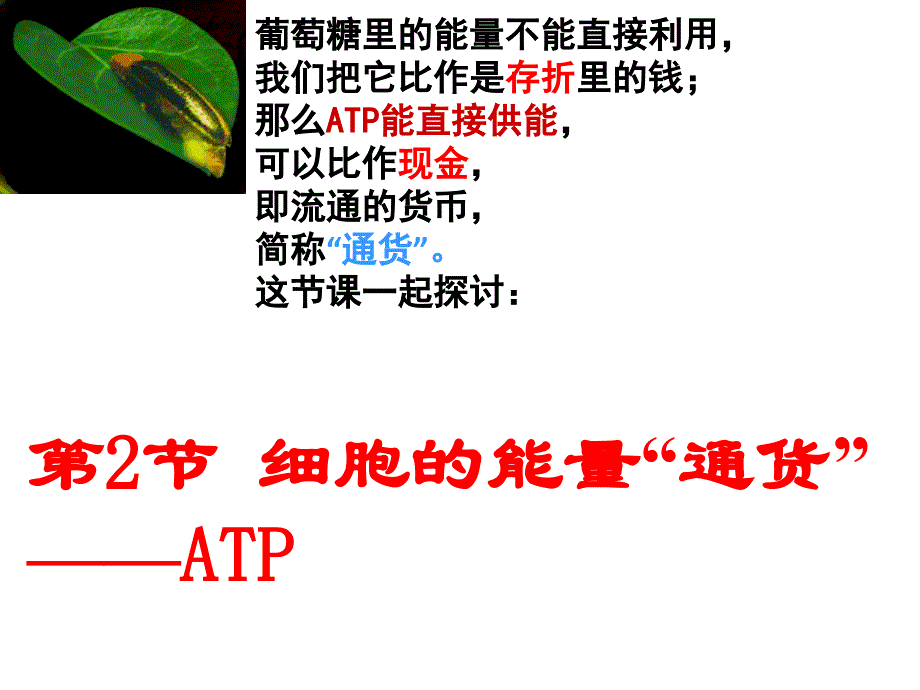 细胞的能量“通货”——ATP_第2页