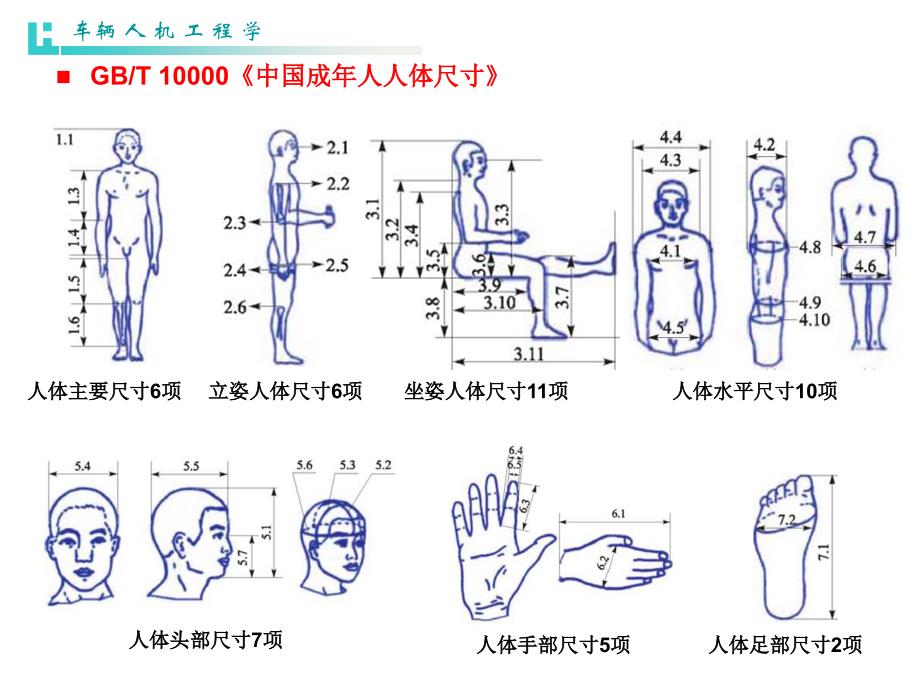 第2章 车辆人机学课件.ppt_第3页