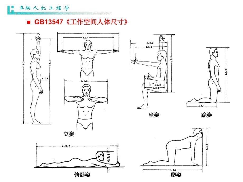 第2章 车辆人机学课件.ppt_第5页