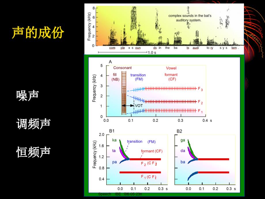 生理学教学课件：10-4-2 神经系统的感觉功能---听觉-0.5（新版）_第2页