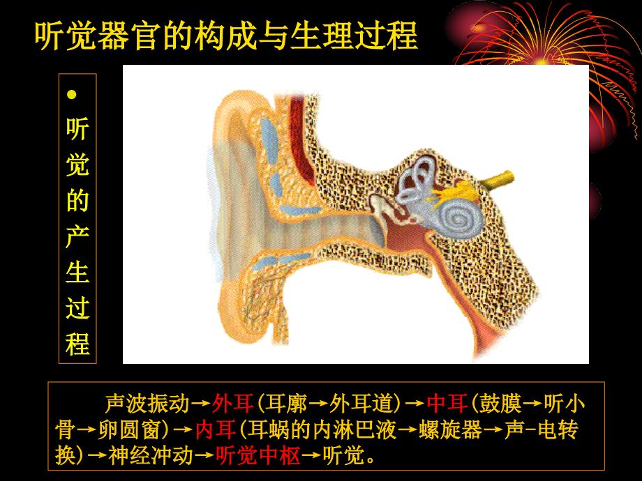 生理学教学课件：10-4-2 神经系统的感觉功能---听觉-0.5（新版）_第4页