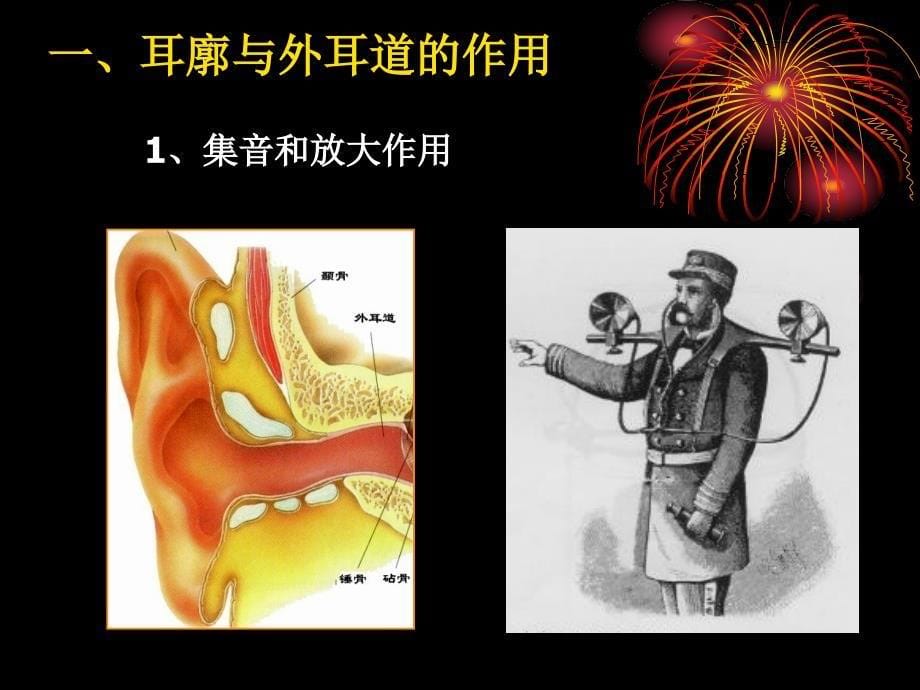 生理学教学课件：10-4-2 神经系统的感觉功能---听觉-0.5（新版）_第5页