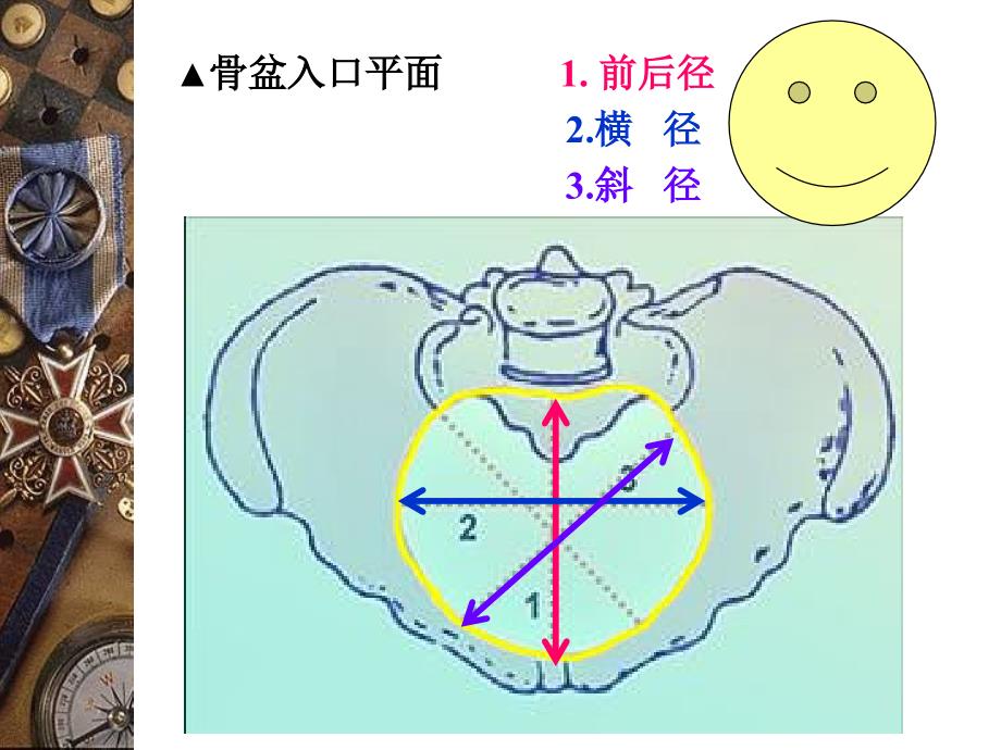 妇产科课件骨盆内外测量_第3页