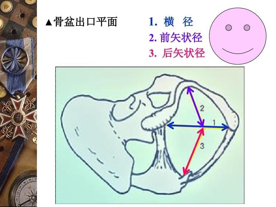 妇产科课件骨盆内外测量_第5页