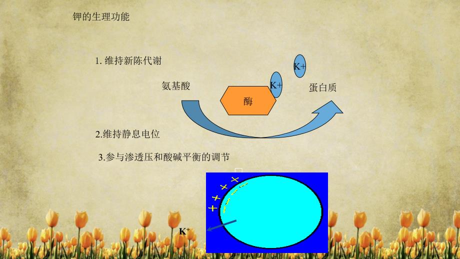 高钾血症护理干货分享_第4页