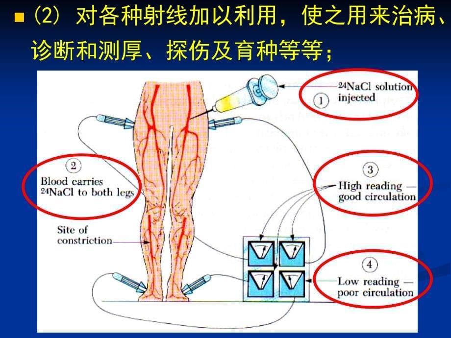 大学物理课件：17-5 射线与物质的相互作用_第5页