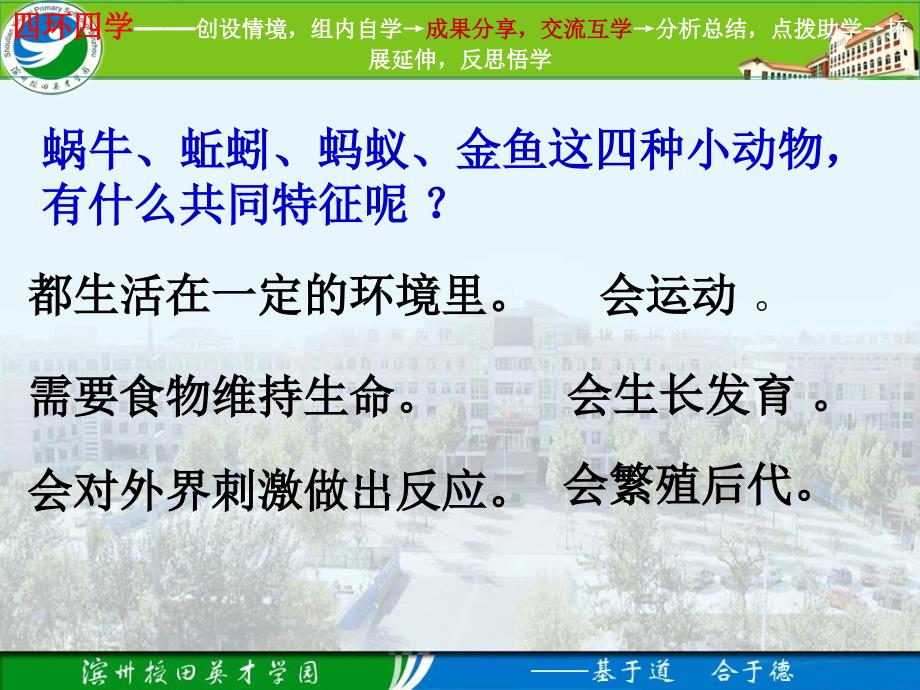 27动物有哪些相同特点_第4页