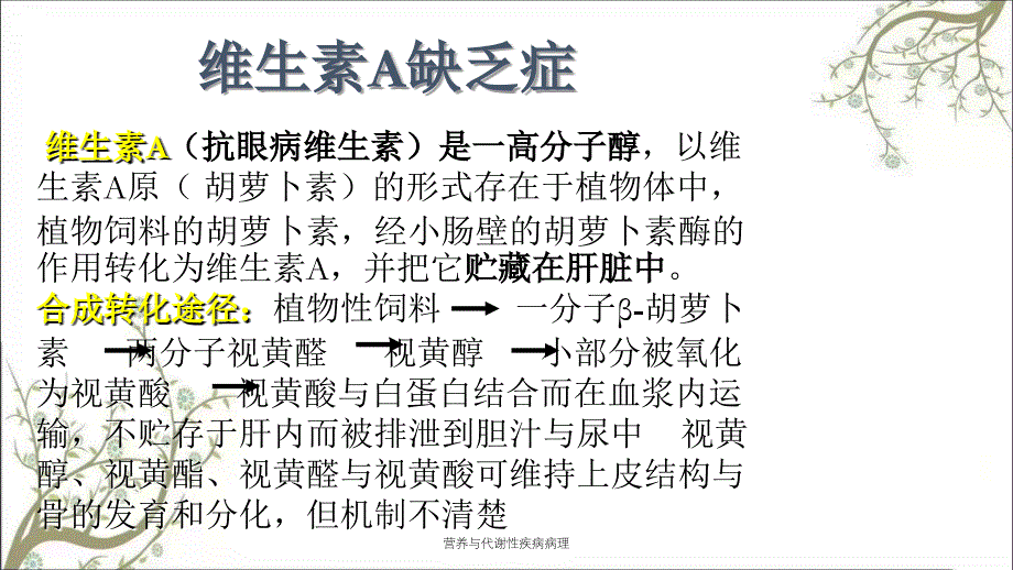 营养与代谢性疾病病理课件_第2页