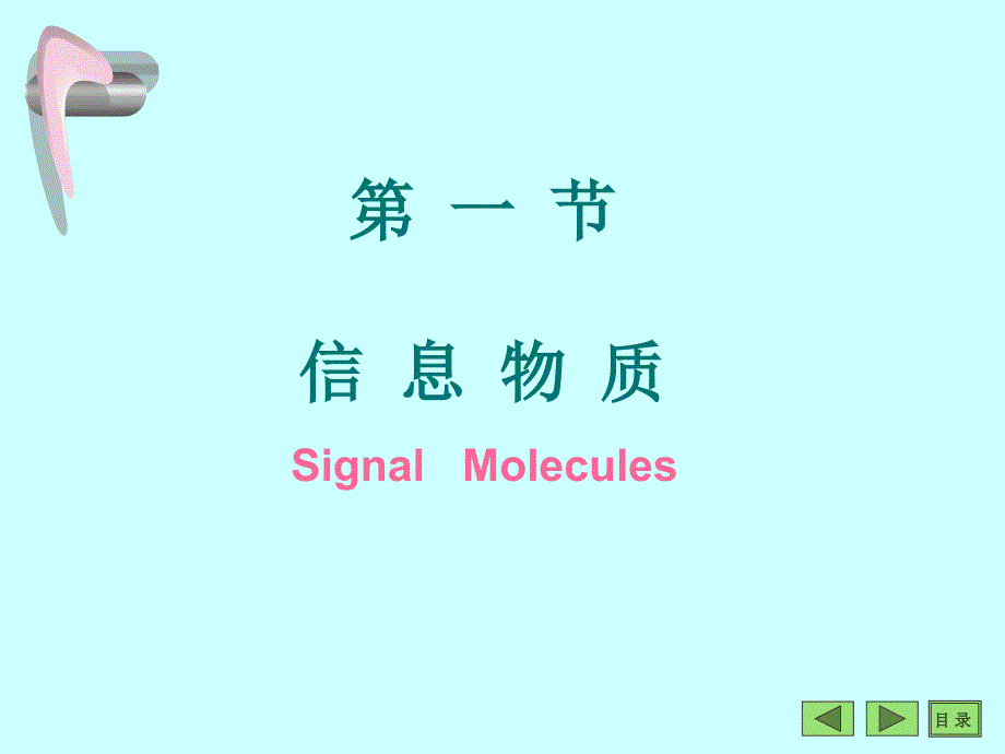 第9章细胞信息转导文档资料_第4页