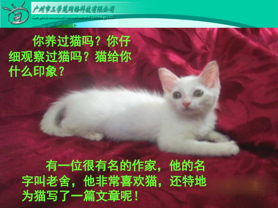 15《猫》(完整)_第1页