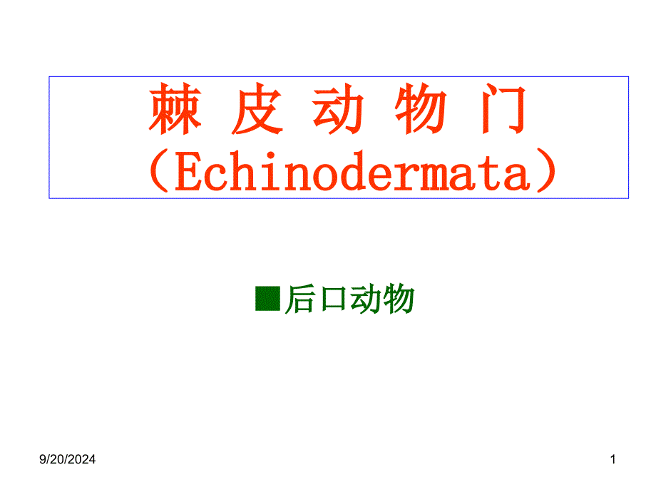 棘皮动物门好_第1页