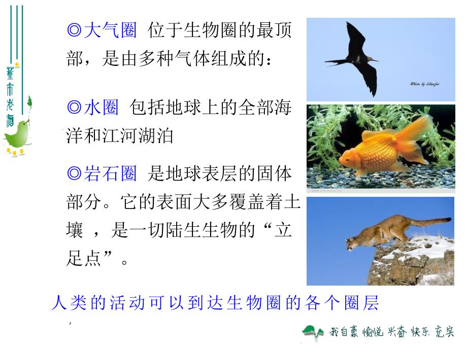 123生物圈是最大的生态系统_第4页