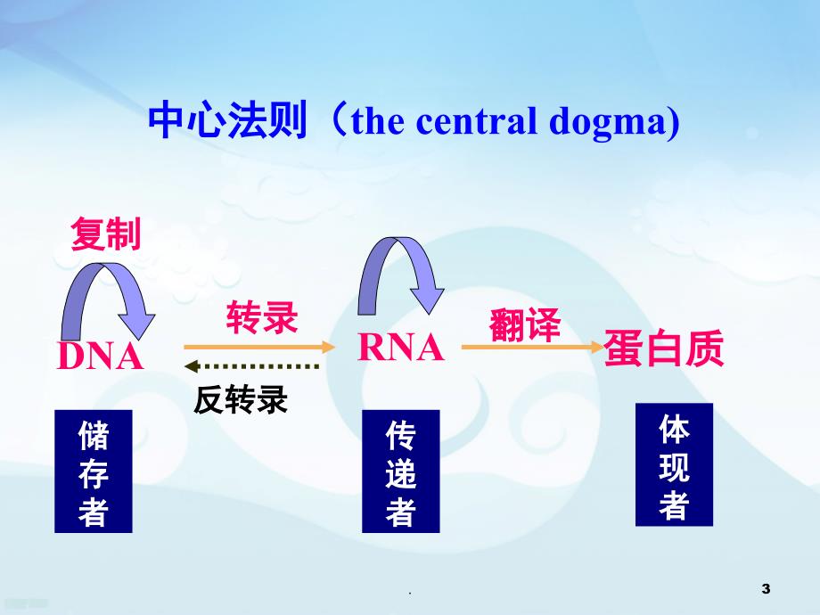 中心法则比赛PPT精选文档_第3页