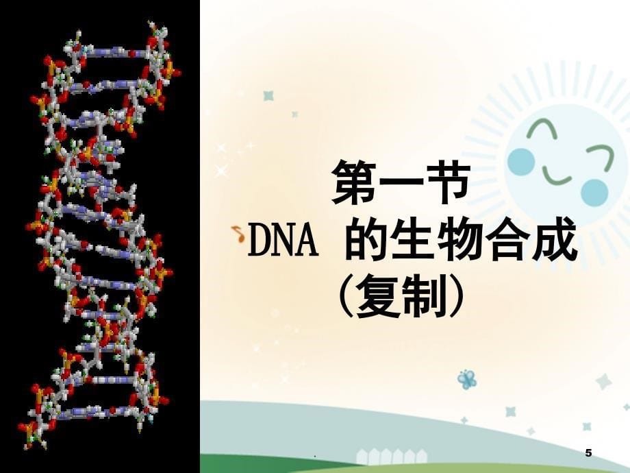 中心法则比赛PPT精选文档_第5页