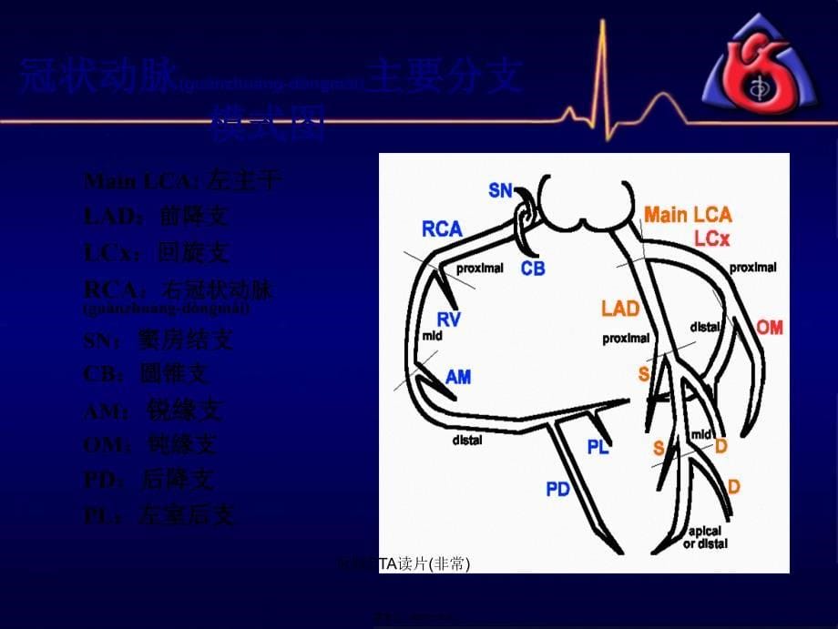 冠脉CTA读片非常课件_第5页