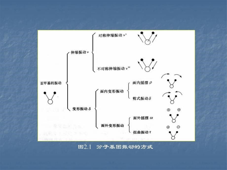 傅里叶变换红光谱仪_第5页