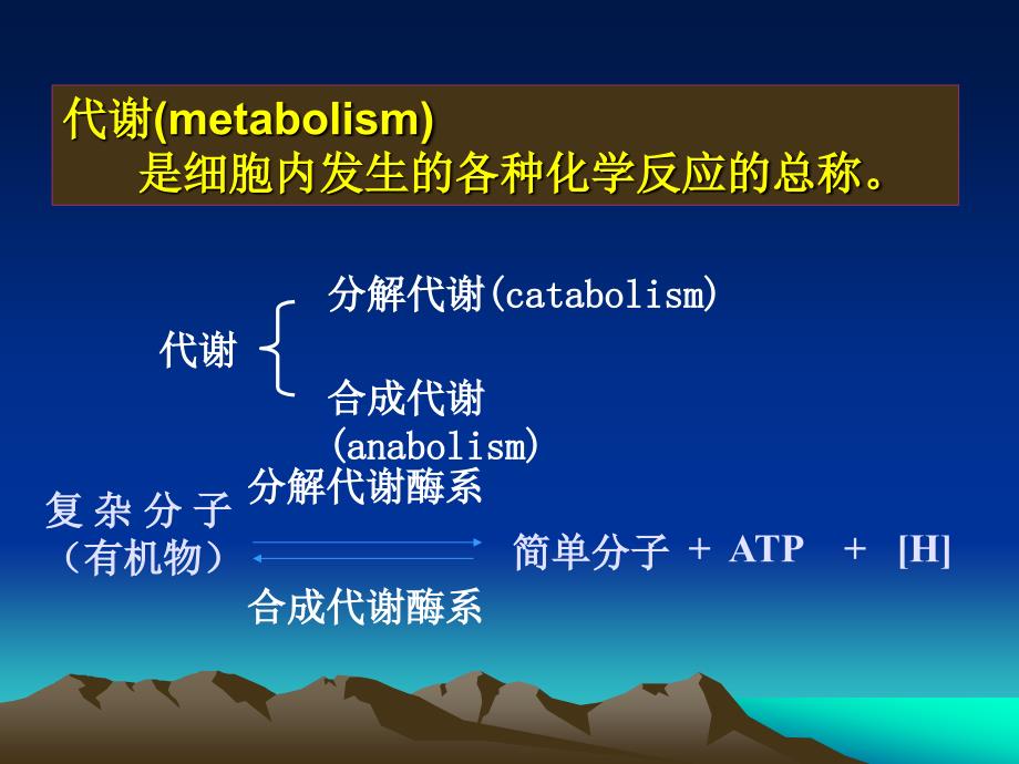 第六章微生物的代谢_第4页