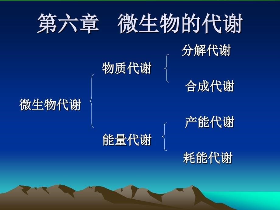 第六章微生物的代谢_第5页